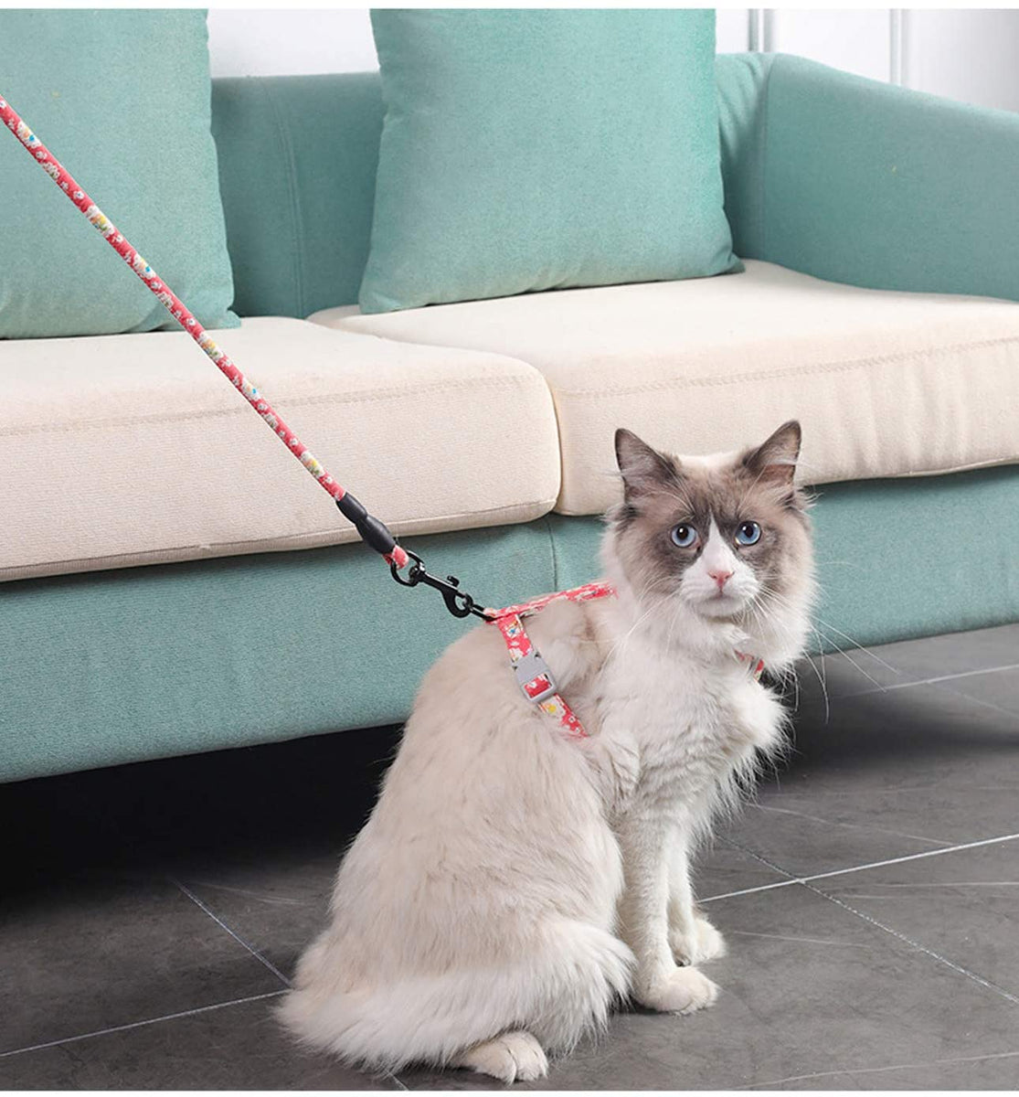 Cat Harnesses Rope RYOSHI Adjustable Cat Harness Rope Vest I-shaped – Miaofit